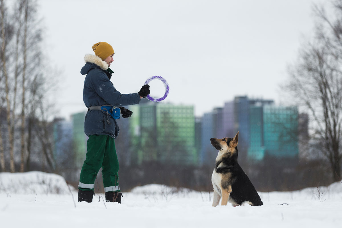Хозяин с собакой на зимней прогулке