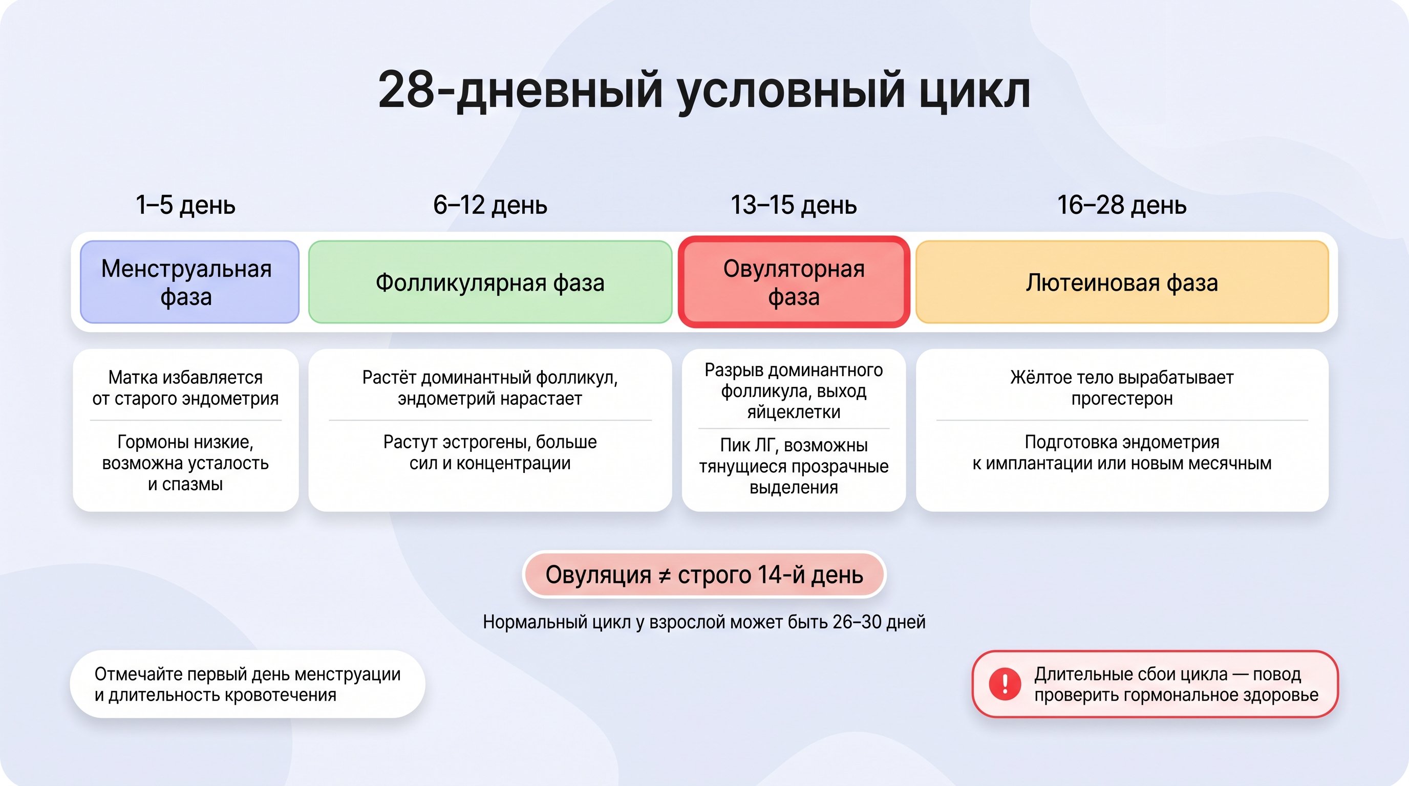 Условный женский силуэт в профиль на нейтральном фоне, внутри силуэта крупно показана упрощенная матка с яичниками. Вдоль матки по кругу или полуокружности расположены четыре