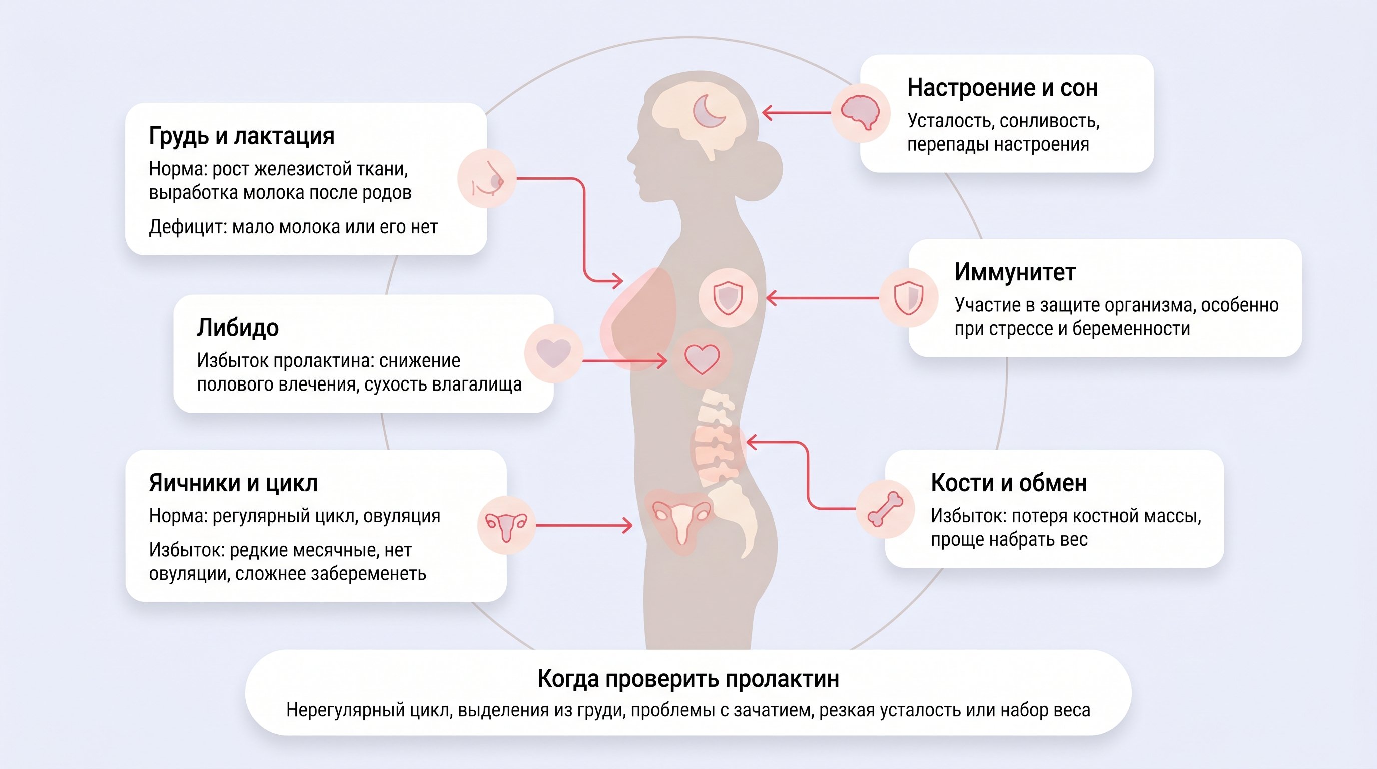 Схематичная фигура женщины в спокойной позе, на ней полупрозрачно показана голова и верх тела. Внутри головы выделен небольшой светящийся гипофиз под мозгом, от него мягкими