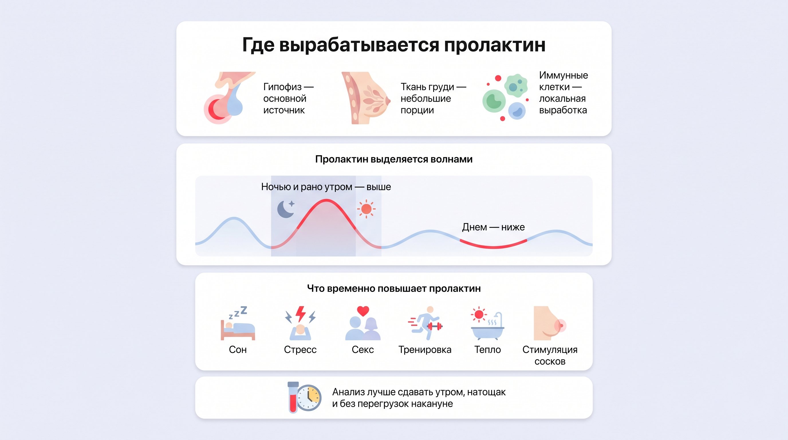 Вертикальная инфографика: вверху блок «источники» с упрощенными иконками гипофиза, ткани груди и иммунных клеток; ниже блок «волны пролактина» с плавной волнистой линией, где