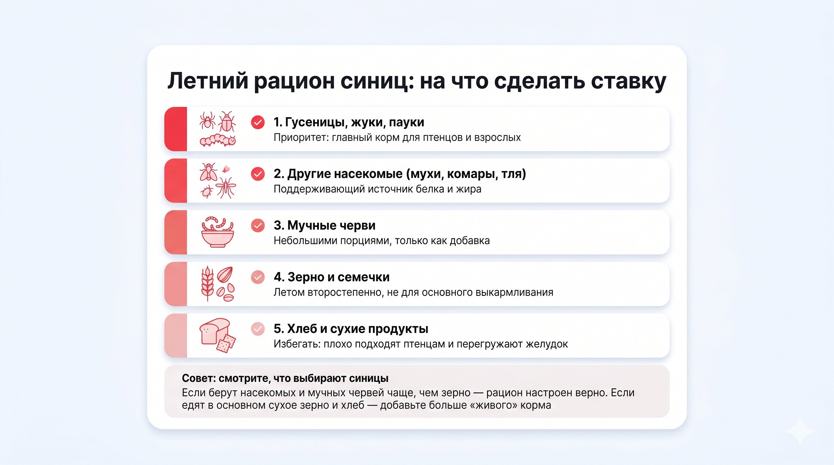 Горизонтальная временная шкала года, разделённая на три блока с небольшими иконками: слева блок «весна–лето» с силуэтом гусеницы, жука и паука; в центре блок «осень» с иконками