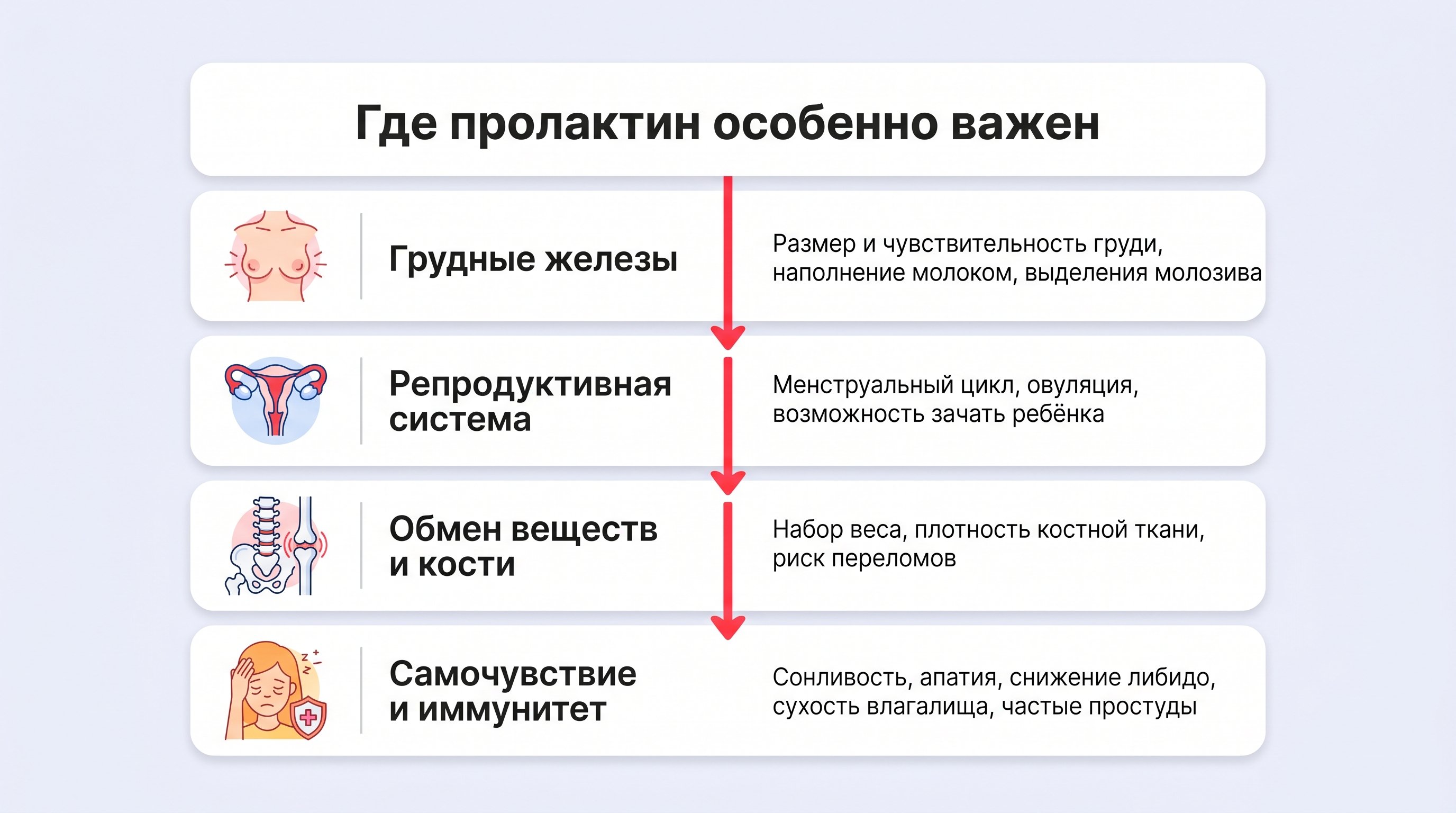 Условный женский силуэт в спокойной позе в полоборота, вокруг тела полупрозрачными мягкими линиями подсвечены четыре зоны: грудные железы (слегка увеличенная грудь с намёком на