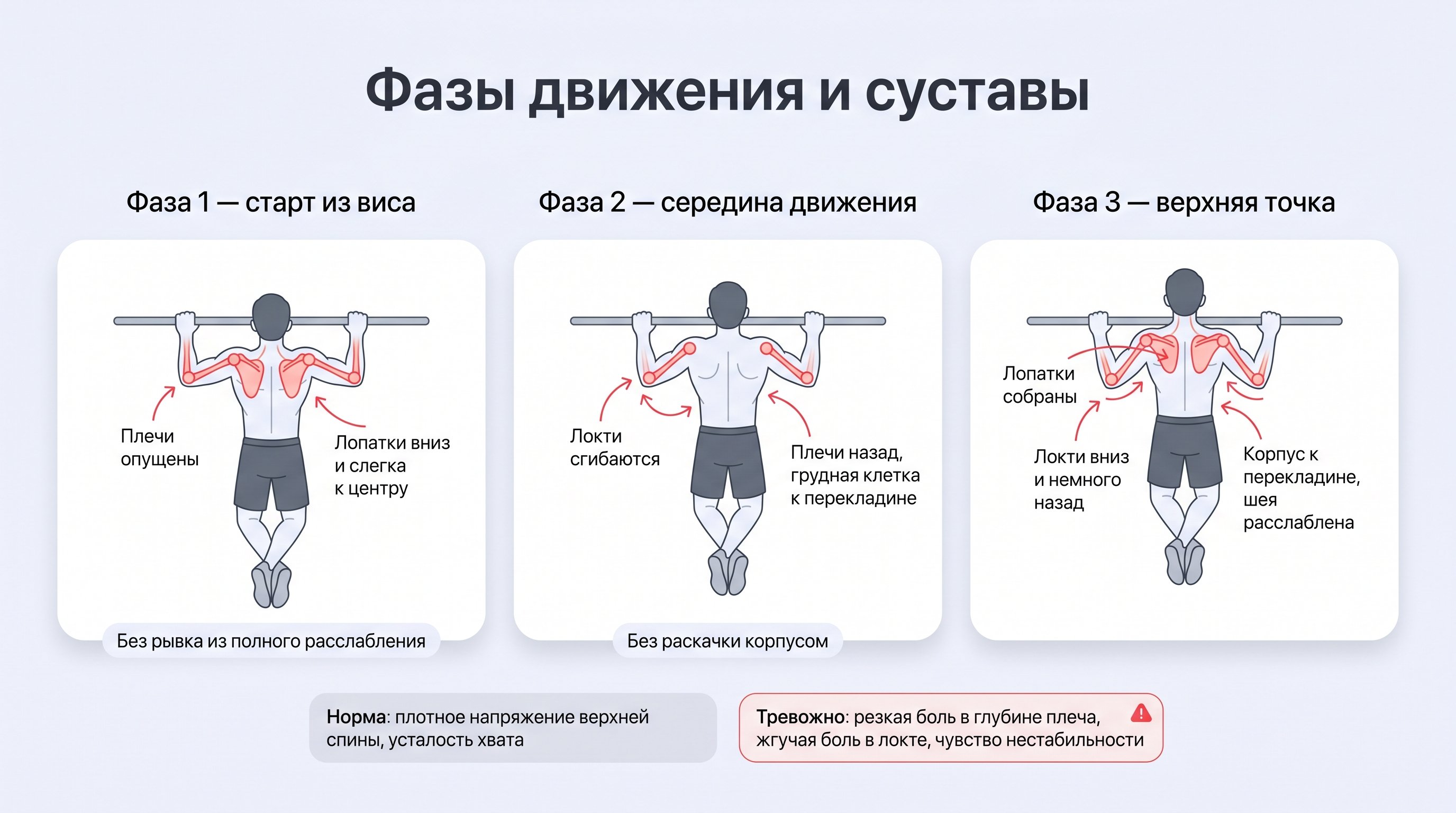 Полуанатомическое боковое изображение человека, выполняющего подтягивание, разделённое на три небольших кадра по фазам движения. В каждом кадре схематично подсвечены активные