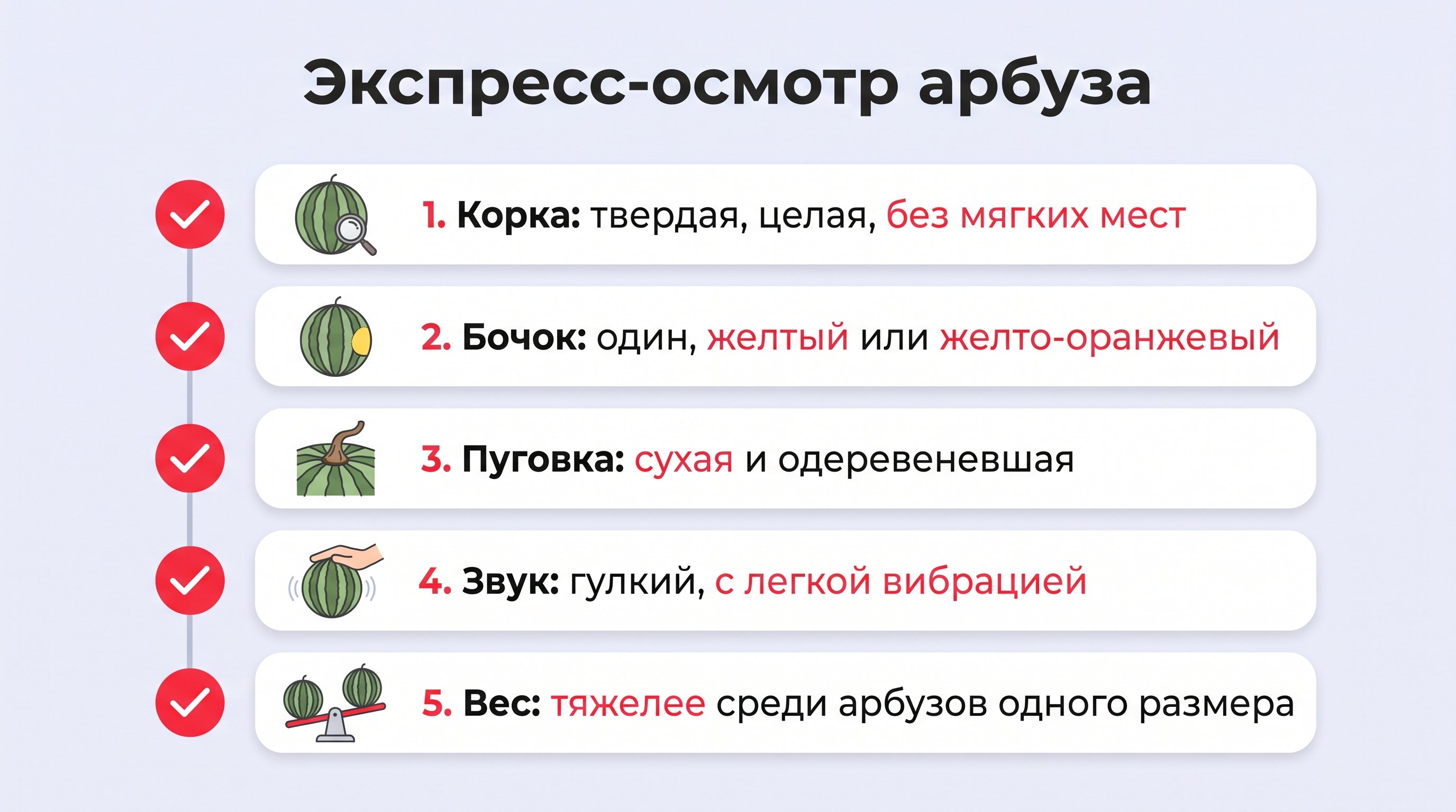 Чистая инфографика-чек-лист на светлом пастельном фоне: пять округлых белых карточек с мягкими тенями, каждая с простым плоским значком арбуза или действия. Теплый красный акцент