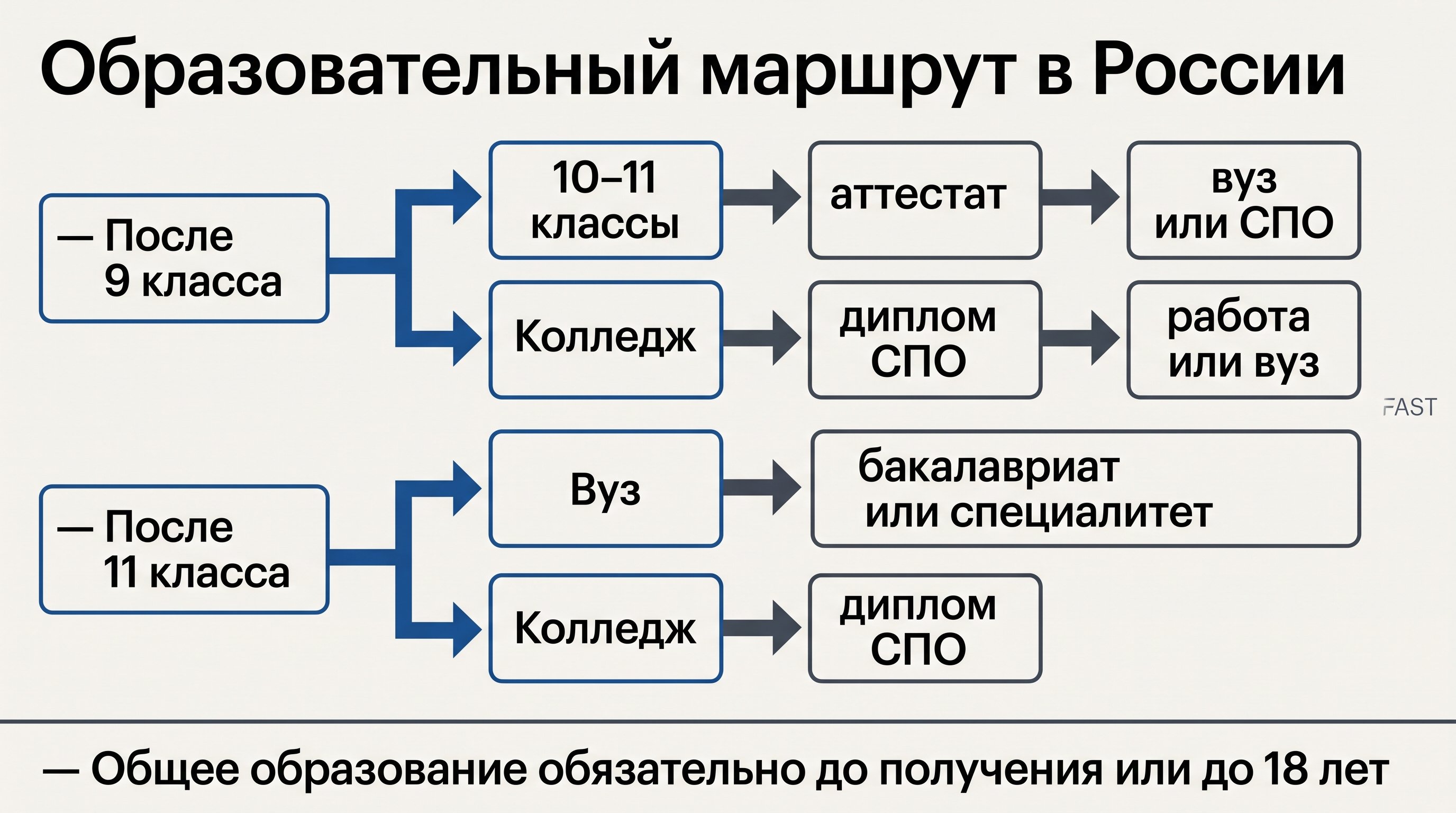Точная актуализированная схема: После 9 класса; 10–11 классы → аттестат → вуз или СПО; Колледж → диплом СПО → работа или вуз; После 11 класса; Вуз → бакалавриат или специалитет