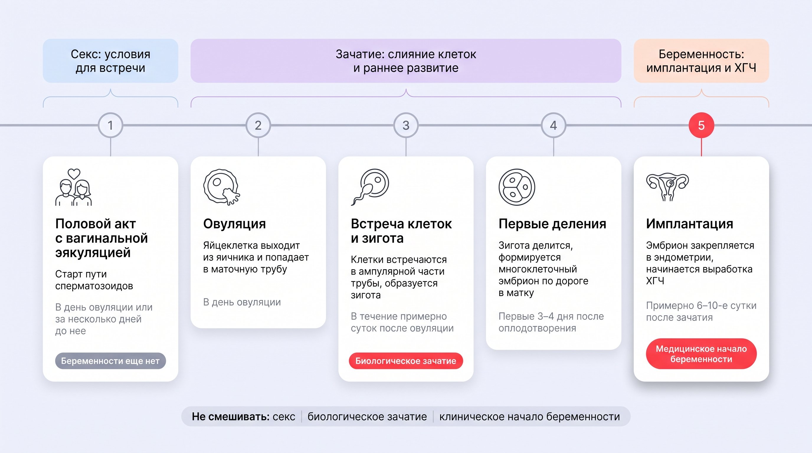 Чистая горизонтальная медицинская таймлайн-схема на пастельном фоне #EFF1F8: шесть округлых белых карточек соединены тонкой серой линией, ключевые точки выделены теплым красным
