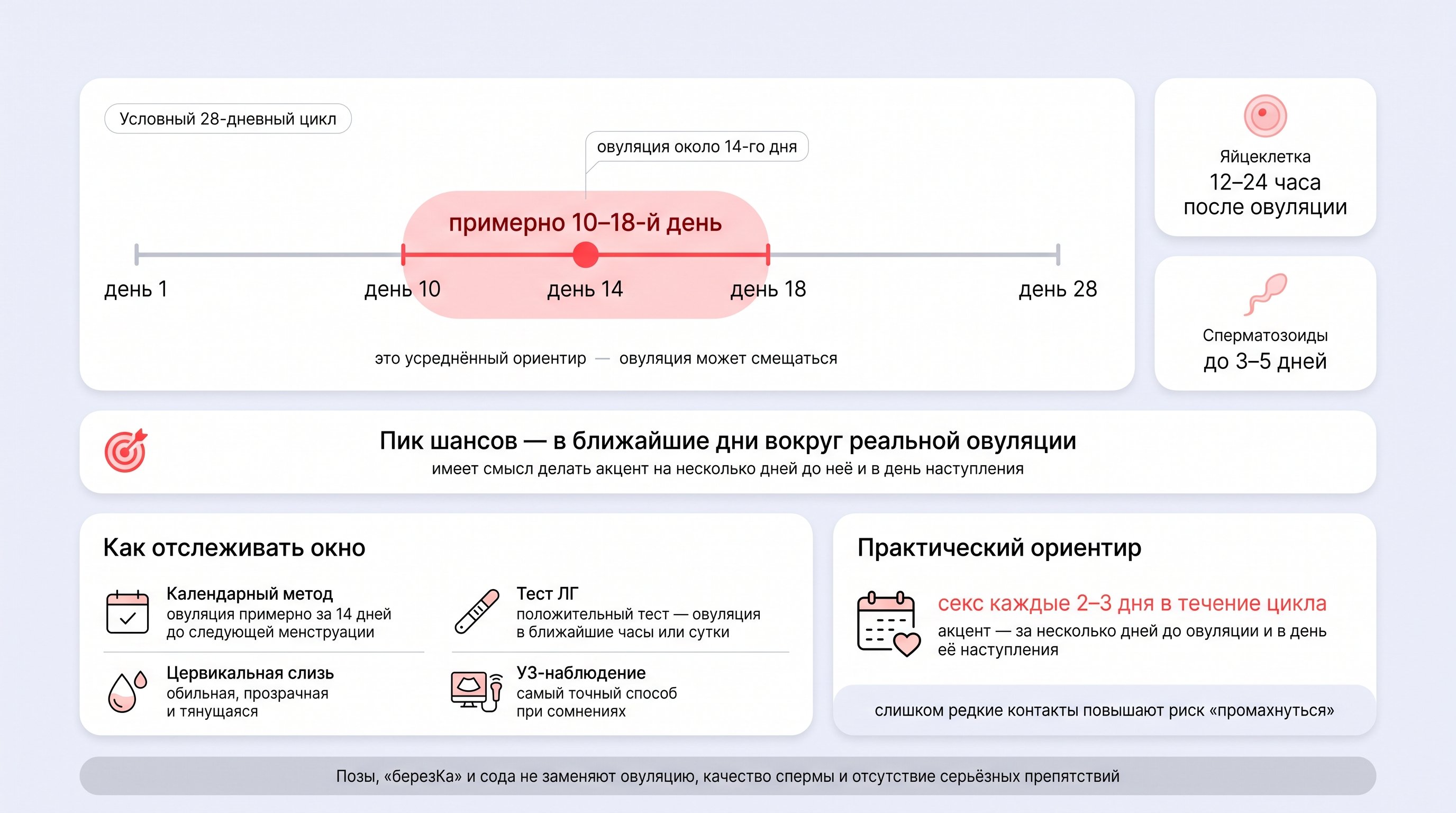 Чистая медицинско-сервисная инфографика на светло-пастельном фоне #EFF1F8 с белыми округлыми карточками и мягкими тенями. В центре — горизонтальная шкала условного 28-дневного
