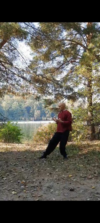 Практика цигун на природе: гармония тела и духа в каждом движении.