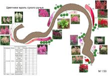 План цветников вдоль сухого ручья с использованием астильб различных сортов и хост. Астильбы подобраны по высоте (примерно 40-50 см), сорта различаются по времени цветения, что позволяет поддерживать декоративность в течение сезона. 