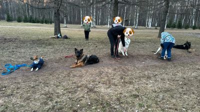 Групповое занятие
