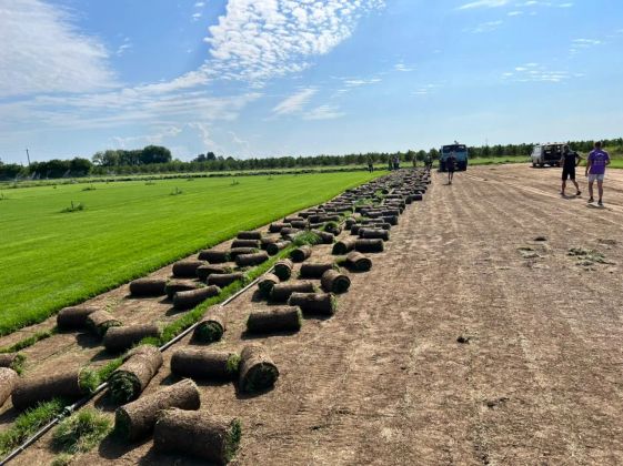 Собственное производство рулонного газона