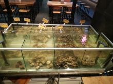 Аквариум-витрина с живыми морепродуктами в ресторане