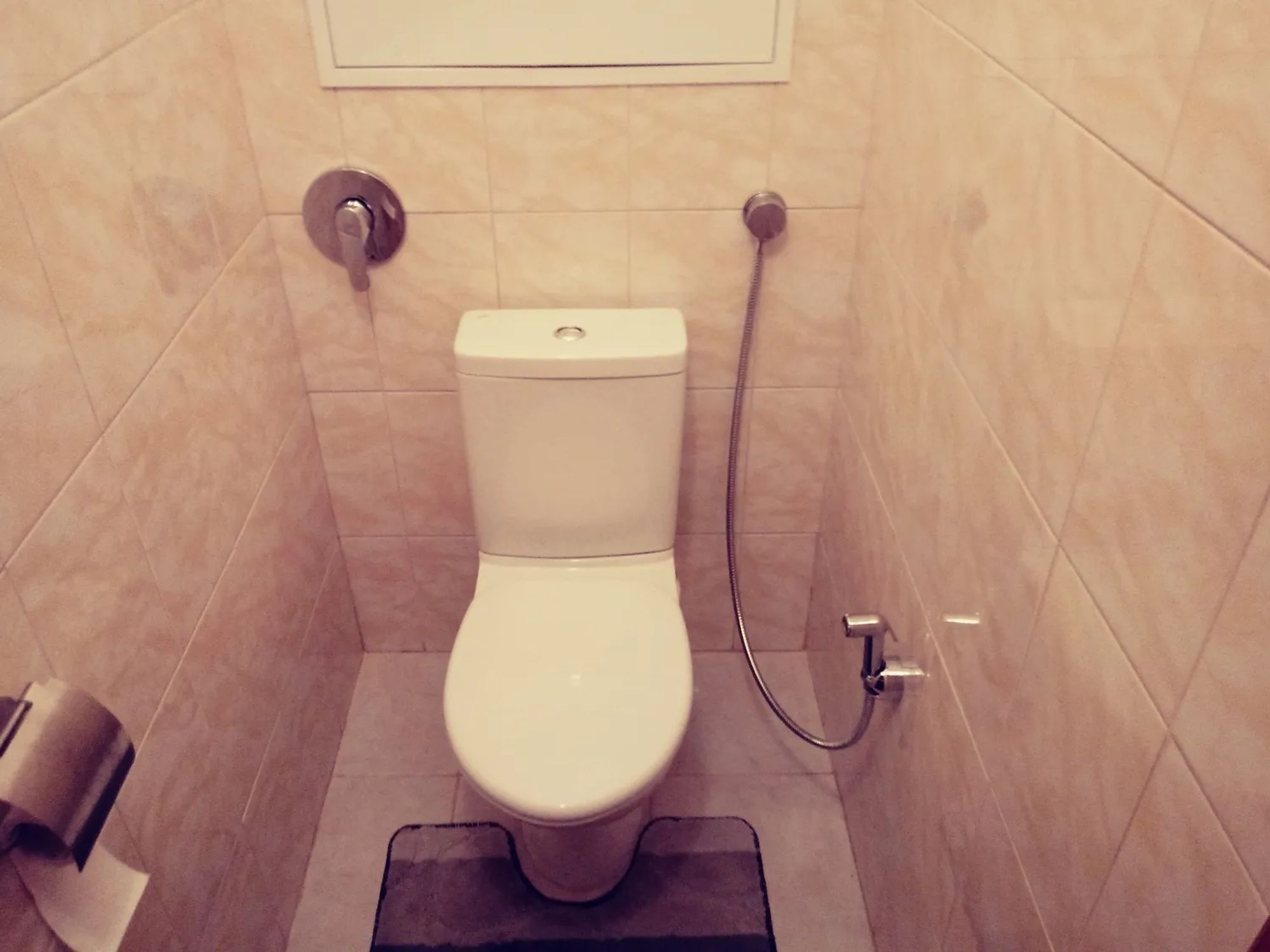 на каком уровне установить гигиенический душ в туалете