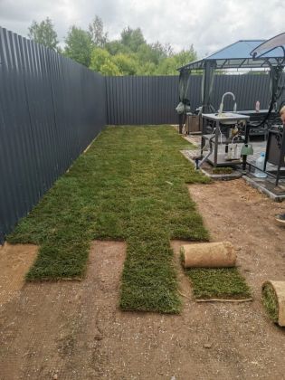Укладка рулонного газона