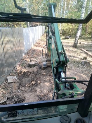 Кочевников пней