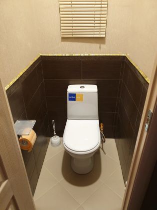 Комплексный ремонт туалетной комнаты