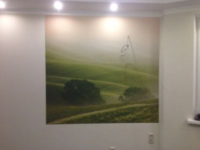 Фреска 1,6х1,60 в кухне