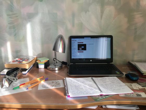 Все уроки проходят онлайн с использованием интерактивной платформы EdVibe