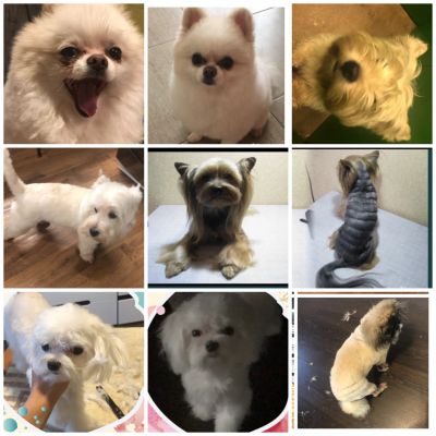 Комплекс по уходу