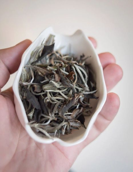 Уникальный белый чай с древних деревьев, который делается в Лаосе для ваших лучших чайных церемоний
