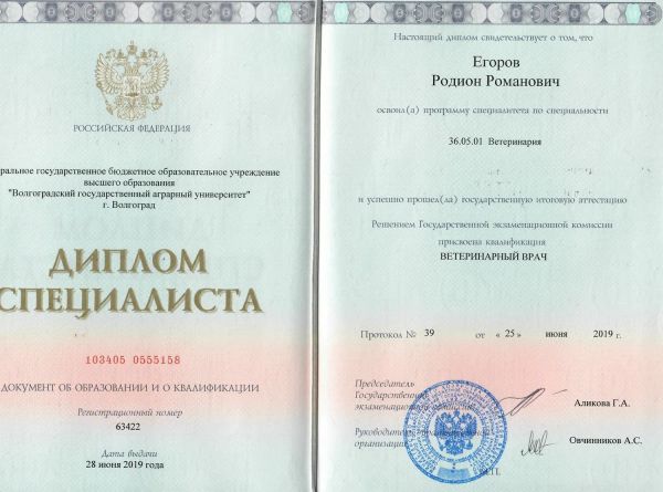 Диплом ВолГАУ
Специальность «Ветеринария»