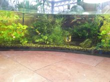 Пресноводный аквариум 600 литров
