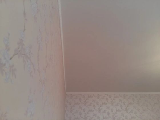 Покраска потолка двумя слоями водоэмульсионной краской