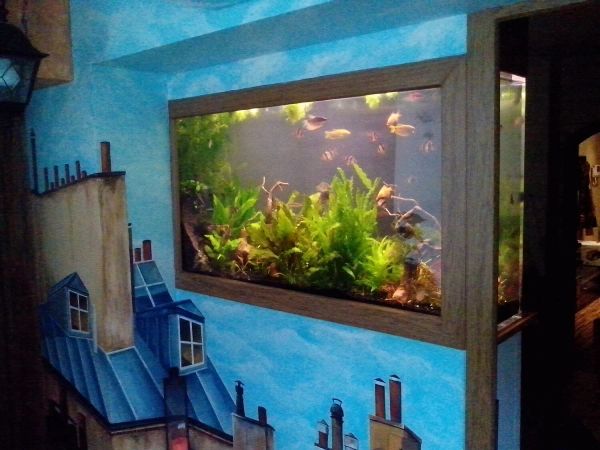Пресноводный аквариум с живыми растениями. 220л. Выращено с "0"