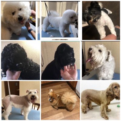 Комплекс по уходу