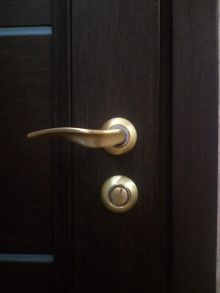 Дверь и ручка