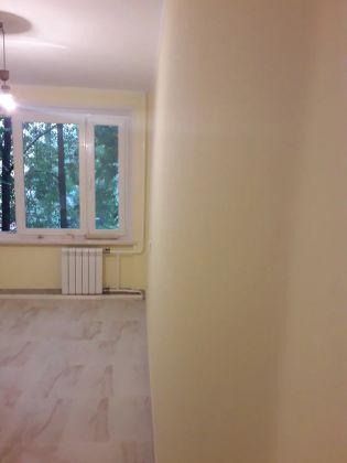 Укладка керамогранита + плинтуса из керамогранита, подготовка и покраска стен и потолков + потолочные плинтуса
