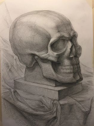 Рисунок череп с драпировкой. Бум., кар., 64 Х 42, работа моей ученицы