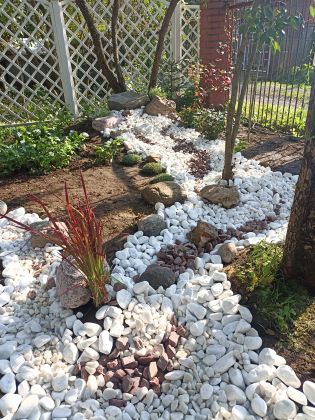 Сухой ручей 