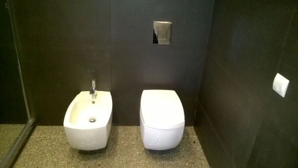 Установка унитаза, Установка биде, Маслов А.И.