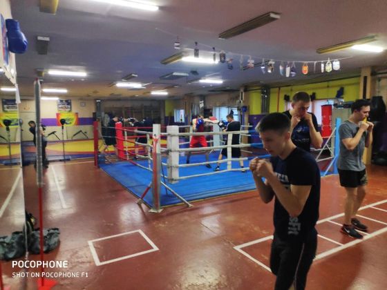 Комфортный боксерский зал, все необходимое оборудования для тренировок по боксу имеется.