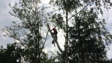 Удаление деревьев, Высотные работы, Благоустройство территории, Голованов И.В.