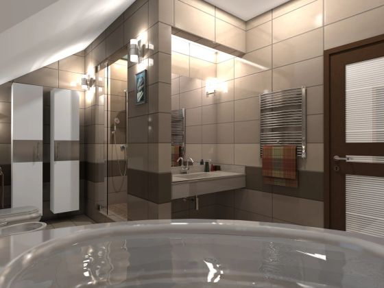 Дизайн-проект индивидуального жилого дома в г.Москва
Ванная комната.
2012 год.