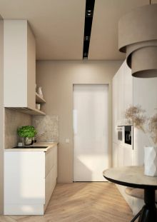 Дизайн-проект квартиры для девушки студентки, 28 кв.м Кухня