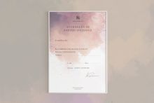 Сертификат для студии перманентного макияжа в Италии
(совместно со студией VIKMAN design)