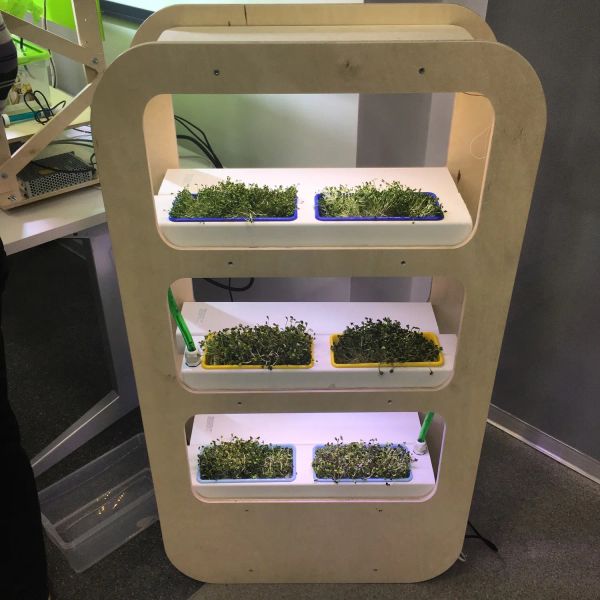 Установка для автоматизированного выращивания микрозелени в домашних условиях