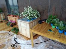 Посадка растений в контейнеры на балконе