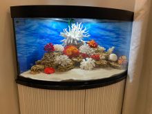 Оформление аквариума 400 литров в стиле "Псевдоморе" С использованием натуральных кораллов.