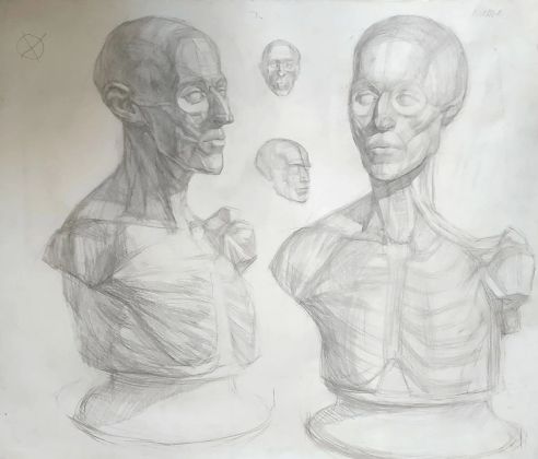 анатомический рисунок
