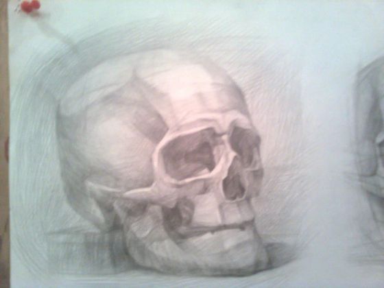 Академический рисунок, череп, карандаш.
