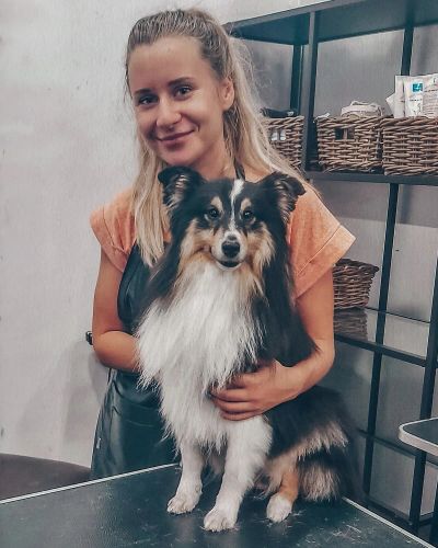 Груминг шелти