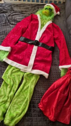 Шью на заказ костюм гринча
А так-же сдаю в аренду посуточно