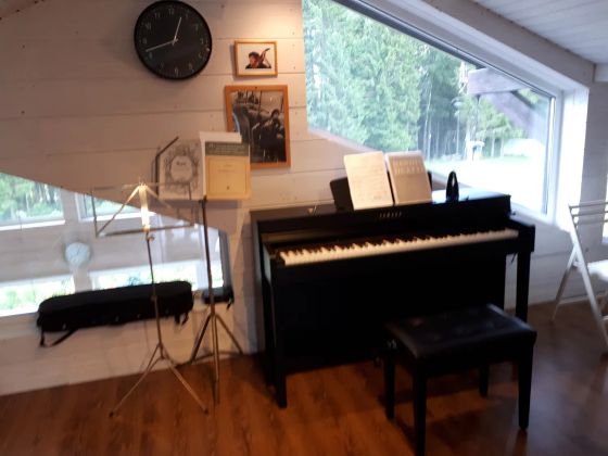 Занятия скрипкой в оборудованном кабинете. Имеется прекрасное  фортепиано YAMAHA.Возможность заниматься с аккомпанементом.